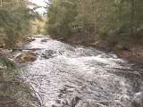 Eels Creek rushing in spring