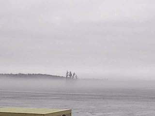 photos of Eels Lake area - mist over lake