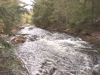 photos of Eels Lake area - Eels Creek rapids