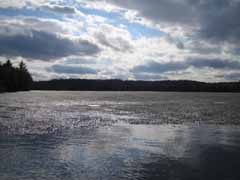 Eels Lake view -spring