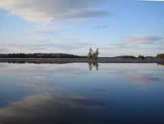 Eels Lake view - spring